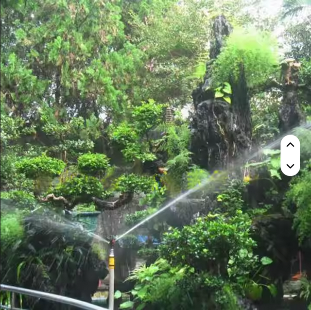 JARDINERIA y SISTEMAS DE RIEGO