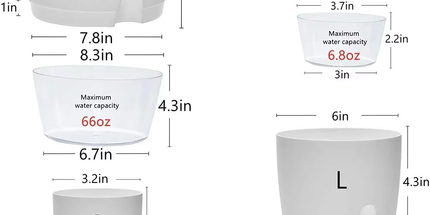 Maceta trasparente inteligente de absorción de agua automática Medida Chica 8 cm de ancho x 12cm de alto