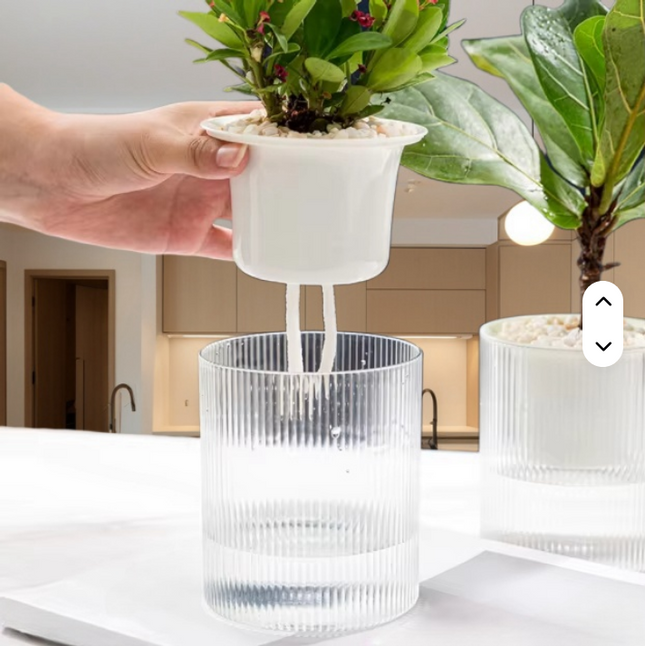 Maceta trasparente inteligente de absorción de agua automática L 15 cm de ancho x 19,25 cm de alto