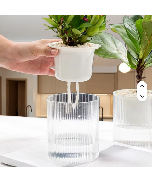 Maceta trasparente inteligente de absorción de agua automática Medida Chica 8 cm de ancho x 12cm de alto