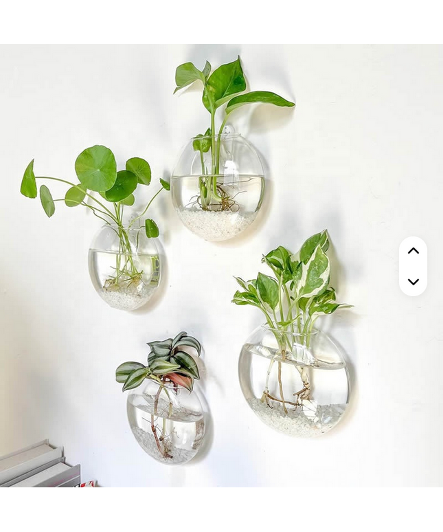 Florero creativo montado en la pared para el hogar o jardín , novedoso florero de vidrio hidropónico para plantas decorativas