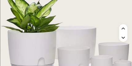 Maceta blanca de absorción de agua automática M 10,25 cm de ancho x 14,25 cm alto