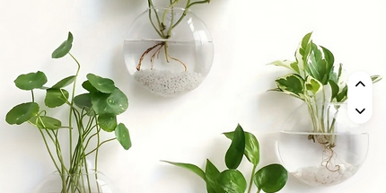 Florero creativo montado en la pared para el hogar o jardín , novedoso florero de vidrio hidropónico para plantas decorativas