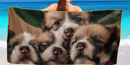 Toalla de playa de microfibra de alta calidad 140 cm x 70 cm. Diseño a prueba de arena de secado rápido.