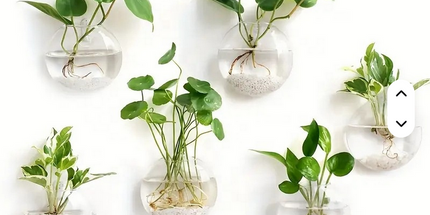 Florero creativo montado en la pared para el hogar o jardín , novedoso florero de vidrio hidropónico para plantas decorativas