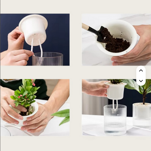 Maceta trasparente inteligente de absorción de agua automática Medida Chica 8 cm de ancho x 12cm de alto
