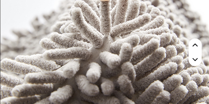 Alfombra gruesa y absorbente, felpudo para baño o sala de estar