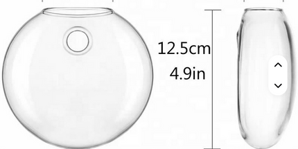 Florero creativo montado en la pared para el hogar o jardín , novedoso florero de vidrio hidropónico para plantas decorativas