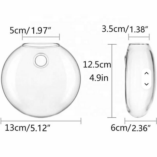 Florero creativo montado en la pared para el hogar o jardín , novedoso florero de vidrio hidropónico para plantas decorativas