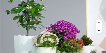 Maceta blanca de absorción de agua automática M 10,25 cm de ancho x 14,25 cm alto