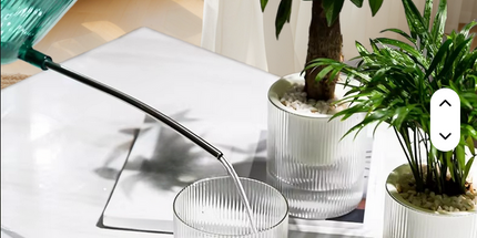 Maceta trasparente inteligente de absorción de agua automática Medida Chica 8 cm de ancho x 12cm de alto