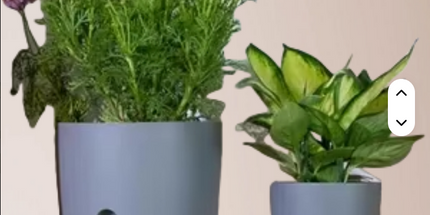 Maceta blanca de absorción de agua automática M 10,25 cm de ancho x 14,25 cm alto