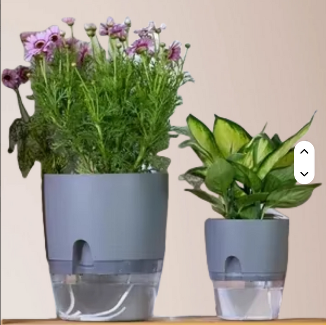 Maceta blanca de absorción de agua automática M 10,25 cm de ancho x 14,25 cm alto