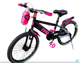 Bicicleta Rodado 20 JIKEDI con ruediras de aprendisaje robostas.