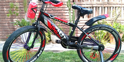 Bicicleta para niños y jovénes con ruedas de apoyo .Rodado 20 completa con acessorios