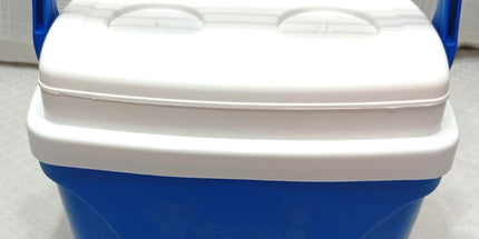 Conservadora YESI  6 litros