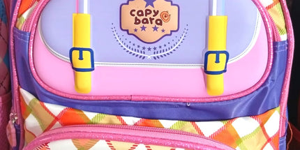Mochila PRIMARIA tamaño oficio. Colores y motivos distintos. Con su llavero!