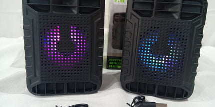 Parlantes DIDI / CAFINI Con RADIO Gran sonido